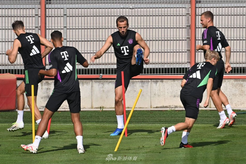 经验丰富的 经验丰富的